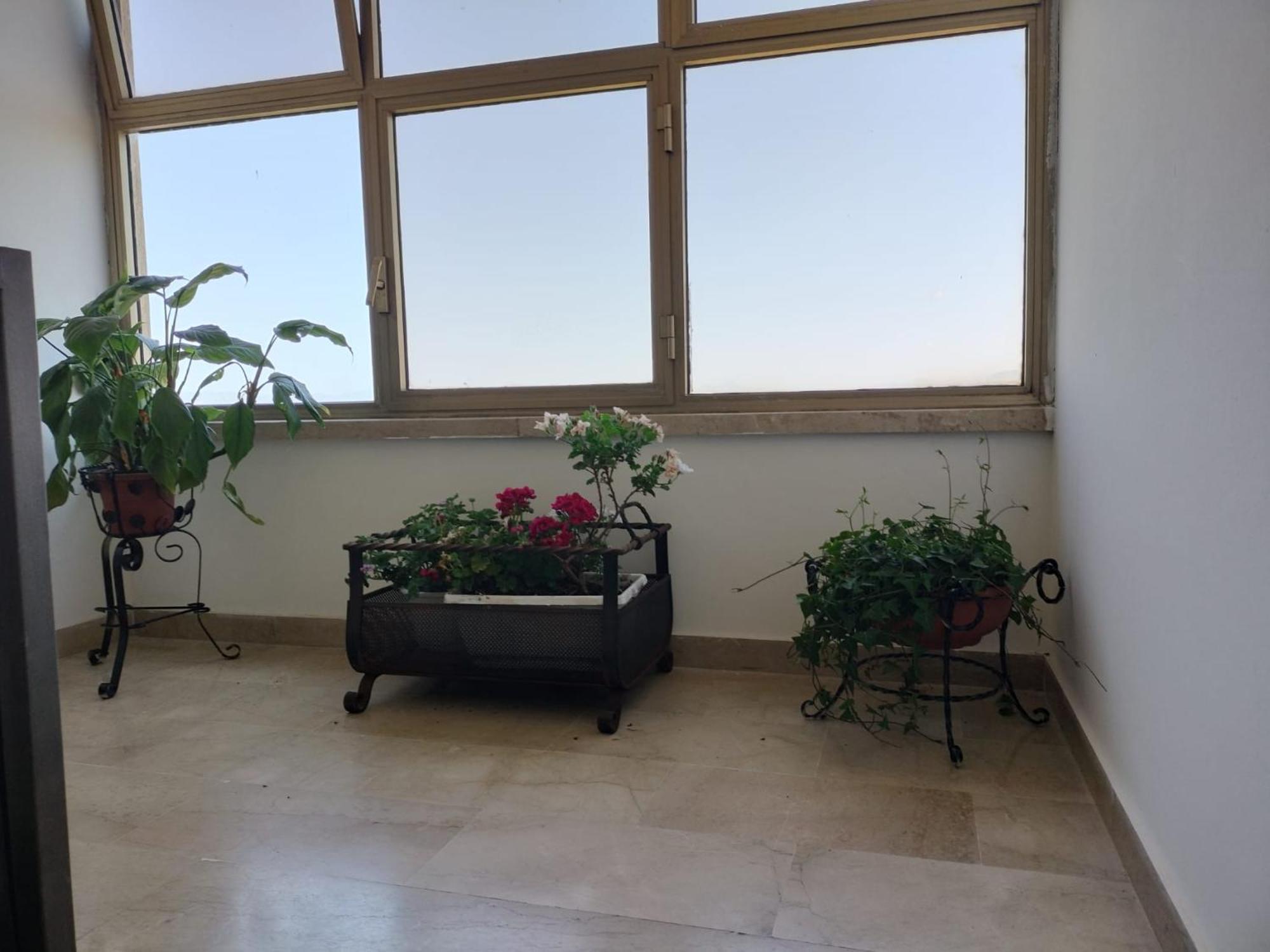 D&P Suites 1 Salemi Esterno foto